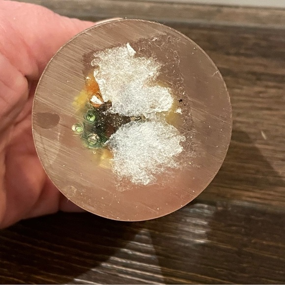 Vintage Daisyglas Company 50s/60s MCM Lucite/Acrylic Floral/Ladybug Paperweight - Picture 8 of 8